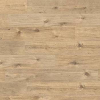 Ламинат Aberhof Tornado, дуб сэнди купить