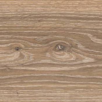 Ламинат Kronostar Eco-Tec, дуб олинда фото Ламинат Kronostar Eco-Tec, дуб олинда купить